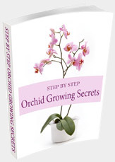 Orchid Growing eBook